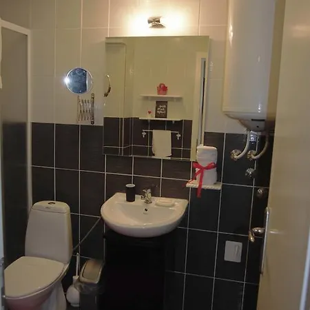 Apartament Trident *